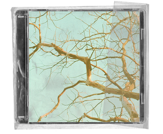 Bare tree branches against a pale blue sky, shown through a clear plastic CD case.