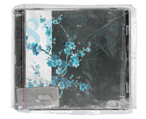 Ruan Mei album cover