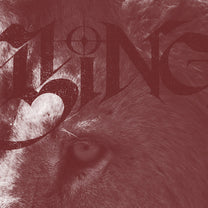 Caesar King album cover