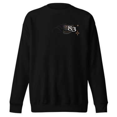 Back view of a solid-colored sweatshirt. A large, symmetrical graphic is centered on the upper back. It features the text "PURSUITS end" integrated with a large, ornate, star-like emblem. Below are two fine-line illustrations of hands, one holding a key and the other a lock.