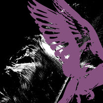 Vivian Banshee album cover