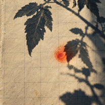 Zhu Yuan album cover