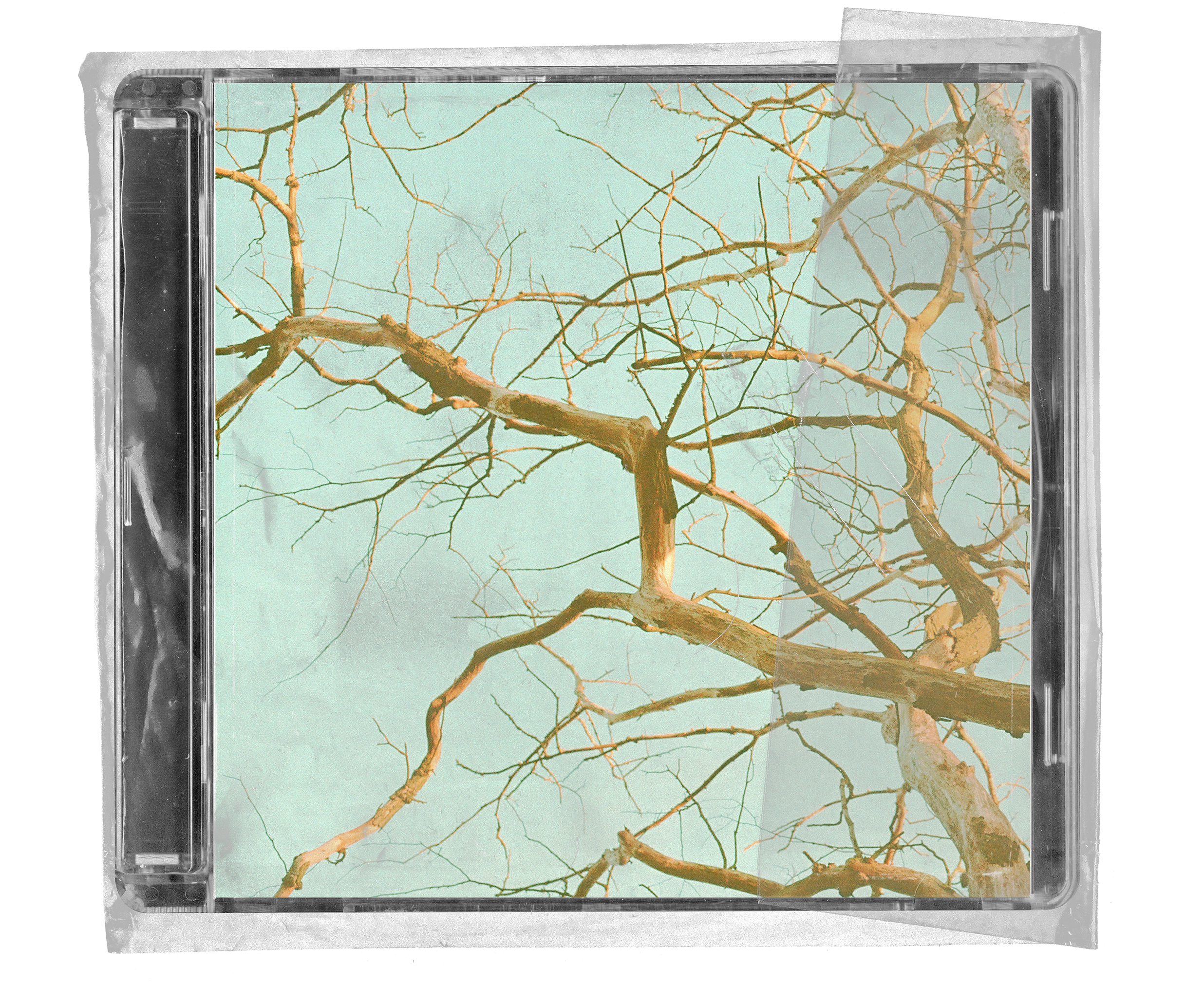 Bare tree branches against a pale blue sky, shown through a clear plastic CD case.