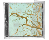 Dan Heng album cover