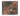 CD case featuring a brown and orange marble texture with a white line-art illustration of a floating woman in the center.
