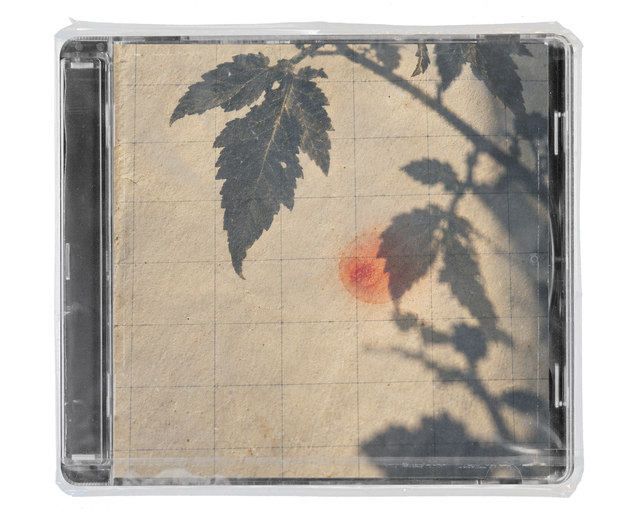 CD jewel case in clear shrink wrap. The cover is sun-faded beige grid paper with the shadows of leaves falling across it and a small blurred orange-red spot near the centre.