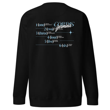 Back view of an sweatshirt in black. Design is a structured typographic design across the upper back. The composition features a numbered sequence from one to six, each paired with Latin or pseudo-Latin text. The layout is horizontal with thin dividing lines and varied type treatments, creating a grid-like visual system.