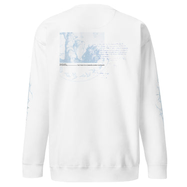 Back view of a sweatshirt in white. A large faded blue engraving-style illustration inspired by classical mythological painting dominates the panel, showing tumbling figures and horses caught mid-fall, framed by a circular arc of birds in flight. Below it, a line of text reads 'take the reins and lose the sky — the thing you command learns your shape,' surrounded by scattered handwritten annotations.