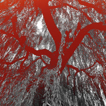 Ye Shunguang album cover